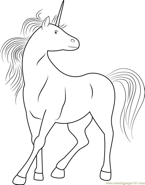 In this section you will also find my. White Unicorn Coloring Page - Free Unicorn Coloring Pages : ColoringPages101.com