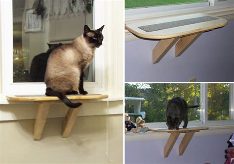 As hunters, cats like to track animals and engage their hunting instincts. Perfect Perch Cat Window Seat • hauspanther