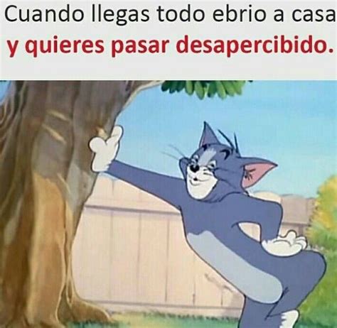 Te presentamos el top 10 de imagenes mas graciosas. Tu todo desapercibido xD xD | Memes divertidos, Imágenes ...