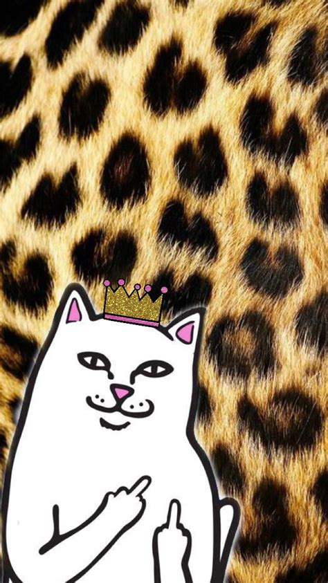 Free download 640x1136 wallpapers and backgrounds. Pin on Ripndip cat