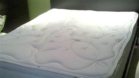 Can you shampoo a memory foam mattress? How to clean a mattress? - Platinum Housekeeping