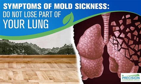 At the very least, it will cause you irritation, harm your sleep quality, and cause you extra discomfort. Symptoms of Mold Sickness - Precision Environmental Services