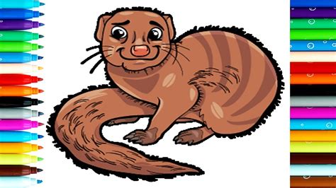 Download How To Draw Mongoose For Kids | Coloring Mongoose Coloring Pages | Color Kids - YouTube