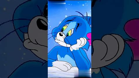 Jerry may be tom's enemy, but he sure is everyone else's friend! #best friend forever#tom and jerry - YouTube