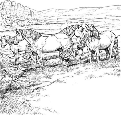 Collection of color in horses (55) coloring pages wild horses easy printable horse colouring pages Wild Horse Herd Coloring Pages | Horse coloring books ...