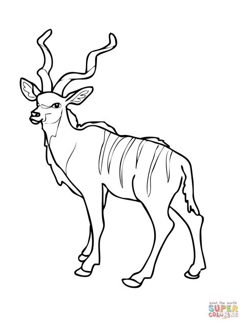 Pronghorn north american antelope coloring page. Download Pronghorn Antelope coloring for free ...