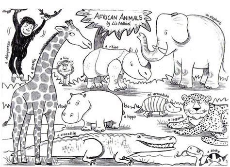 Maybe you would like to learn more about one of these? African Animals: Liz Million - author and illustrator of ...