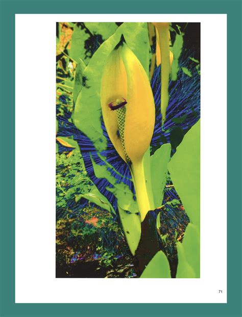 A garden of earthly delights tells the story of clara who is born into a family of migrant farmers and moves up the ladder of society. Garden of Earthly Delights - COPYRIGHT Bookshop