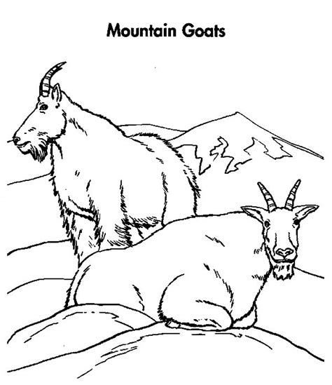 Select from 35919 printable coloring pages of cartoons, animals, nature, bible and many more. A Couple Of Mountain Goat Coloring Pages : Color Luna