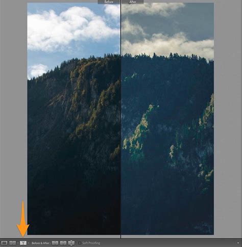 Make a change to the image then undo that change. How to toggle between Before & After adjustments in ...