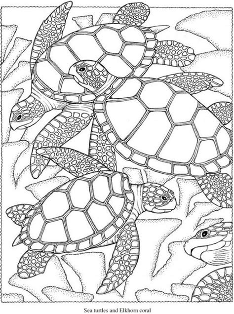 12 free printable coloring pages for summer. Get This Grown Up Coloring Pages Free Printable 42032