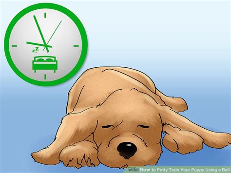 Puppies usually potty after sleeping, eating, drinking, and after playing. How to Potty Train Your Puppy Using a Bell (with Pictures)