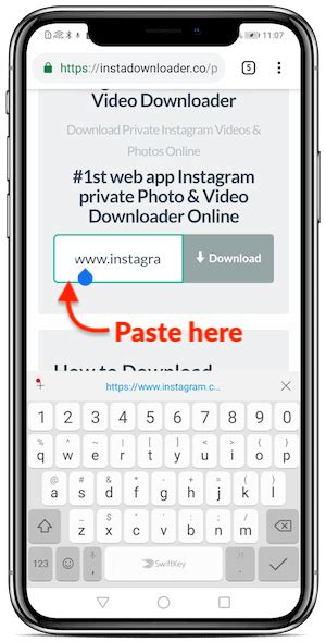 It is a simple tool to use for downloading from instagram. Instagram Private Photo Downloader