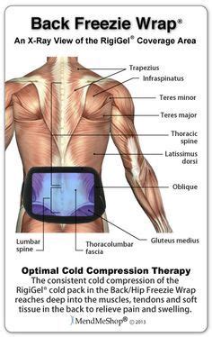 Anatomy of the body hip muscles anatomy muscular system anatomy. Back/Hip Freezie Wrap - ColdCure® Technology represents a massive step forward from RICE to RCCE ...