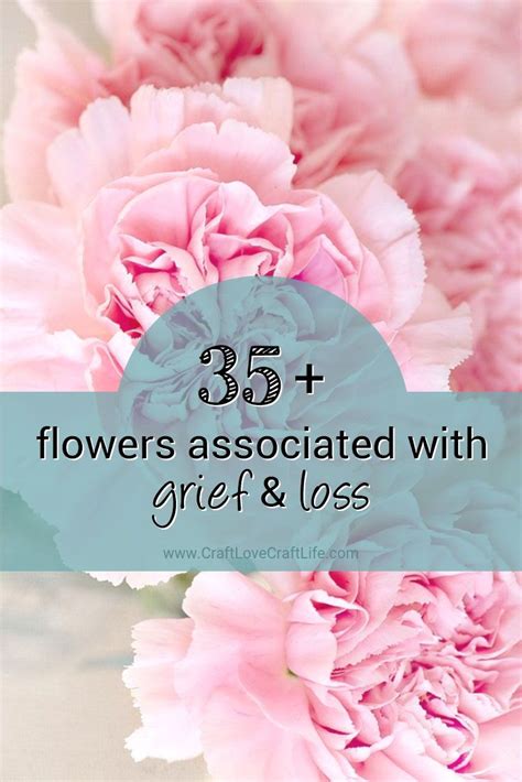 Check spelling or type a new query. 35+ Flowers Associated with Grief and Loss | Flower ...