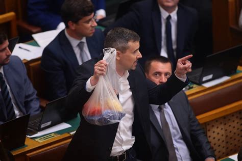 Since june 2019 he has been the parliamentar. "Egy igazi faszszopo vagy, idióta" - így írt a fideszes ...