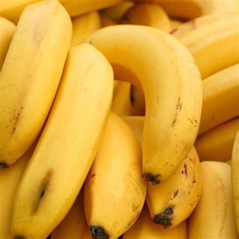 Lukisan peralatan dapur desainrumahidcom via desainrumahid.com. Menakjubkan 17+ Gambar Buah Buahan Hitam Putih Dalam Keranjang - Richa Gambar