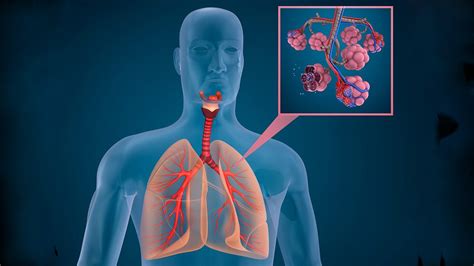 Don't miss the latest on coronavirus in germany, as the country currently has one of the highest numbers of confirmed cases. Welche Zellen das Coronavirus befällt - wissenschaft.de