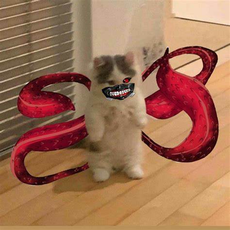 Кот на диете мем
