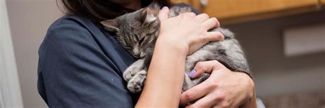Pet Education Project - Outreach Program - Myrtle Beach ...
