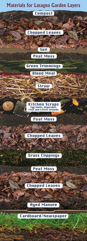 Drain and refresh in iced water, then squeeze out as much water as possible. Lasagna Composting: Jump-Start Your Garden With Ease ...