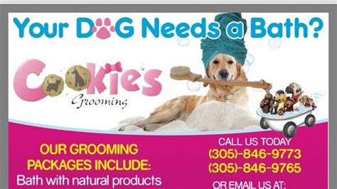 For information on having your pet groomed or an appointment please call: Cookie's Pet Grooming - Pet Groomer in Miami