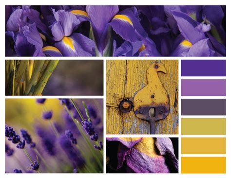purple + yellow complements | Instagram color scheme, Instagram color, Instagram color scheme feed
