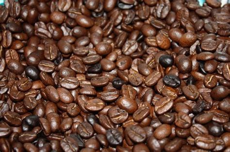 Check spelling or type a new query. Caffeine and Hair Growth | is caffeine good for hair ...