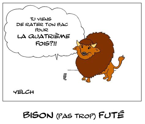 The animal diversity web is an educational resource written largely by and for college students. 15 juin 2019 - Bison (pas trop) futé - Blagues et Dessins