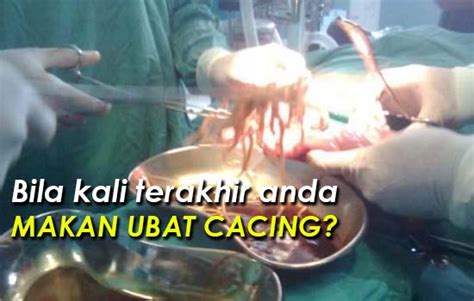 Pembuatan kandang yang baik akan memberikan kenyaman pada ayam kampung super. Dos Ubat Gout - Contoh Pustaka