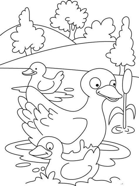 Candy cane coloring pages donald duck coloringstar. Duck coloring pages. Download and print duck coloring pages