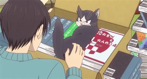 We did not find results for: My Roommate is a Cat Series Review: From One Cat Person to ...