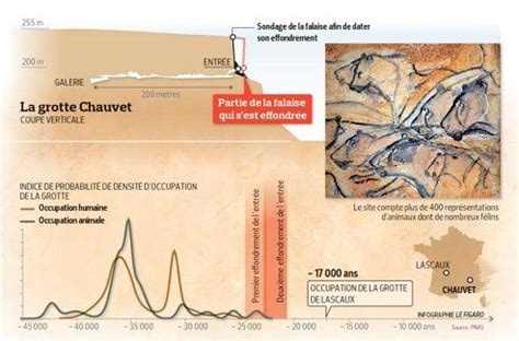 Un ours des cavernes déambule placidement. Préhistoire