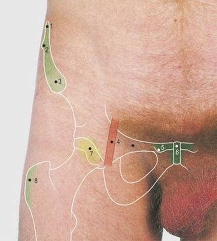 While the skin can not be viewed with clothes covering the area, the greater trochanter usually can be palpated over clothing. Lower Limb - Surface Anatomy, 4 Edition
