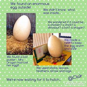 Look What We Found A Dragon Egg Dragon Day Eyfs Activities