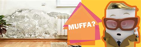 La muffa è un fungo che può comparire sulle pareti, i soffitti, nei pressi delle finestre o in altre zone della casa, comprese quelle ricoperte di legno. Eliminare la muffa dai muri definitivamente - come si forma?