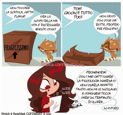Non è violenza solo le mazzate, lo stupro o la molestia sessuale. La Voce di Roma: Giornata mondiale del gatto
