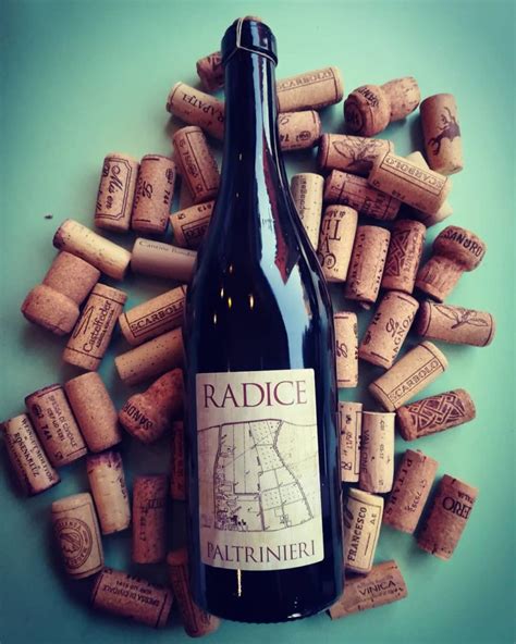 Paltrinieri, radice lambrusco di modena 2019, italy, emilia romagna. Radice | Paltrinieri | Enoteca Red Red Wine