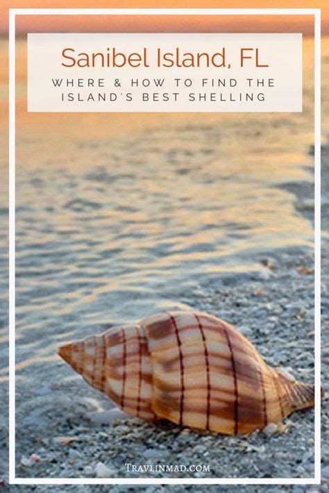 This is a beautiful place on sanibel island. Sanibel Island Shelling: A Local's Guide to Finding the ...