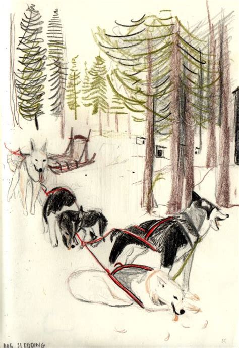 Sled dogs have been used in the arctic for at least 2,000 years and were important for transportation in. Sketchbook | Animal drawings, Art, Husky drawing