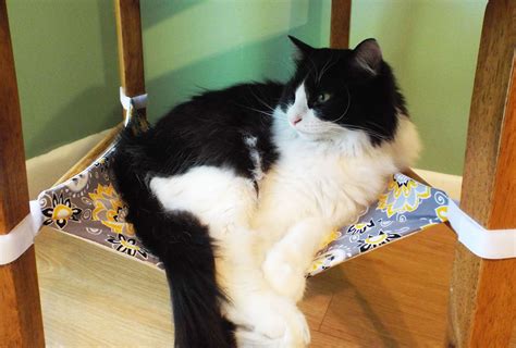 Free shipping on many items | browse your favorite brands. Our mascot Zero loves his hammocks! Space-saving; they are ...