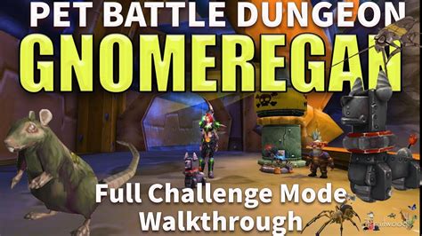 Grubbis & his pet chomper deal physical attacks. Gnomeregan Pet Battle Dungeon A Full Challenge Mode Walk through - YouTube