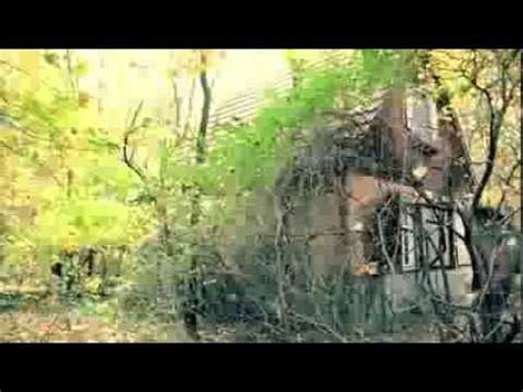 Zögern sie nicht, rufen sie uns an und vereinbaren sie einen. Das kleine Haus im Wald - YouTube