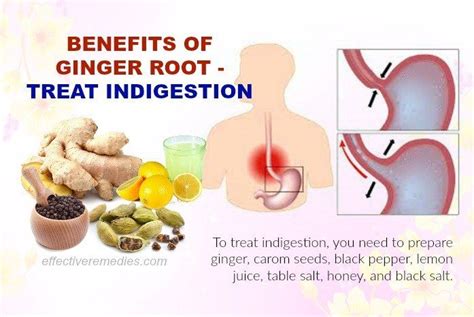 From flushing out toxins to flavoring dishes, it is known for its wonderful benefits, and that's why doctors and chefs both swear by it. Do You Know Beauty & Health Benefits Of Ginger Root, Uses ...
