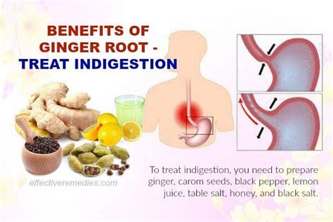 It works pretty much the same way as the. Do You Know Beauty & Health Benefits Of Ginger Root, Uses ...