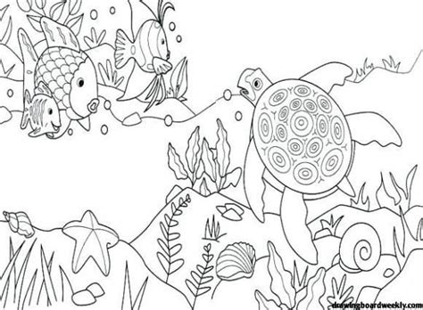 This time these coloring pages are brought to you by a very. Under the Sea Coloring Pages | Turtle coloring pages, Free ...