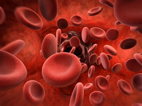 เราจะเพิ่มเซลล์เม็ดเลือดแดงได้อย่างไรบ้าง? | HD สุขภาพดี เริ่มต้นที่นี่