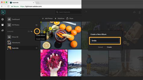 How to share an album from lightroom cc. How to share photos and albums in a Lightroom web gallery ...