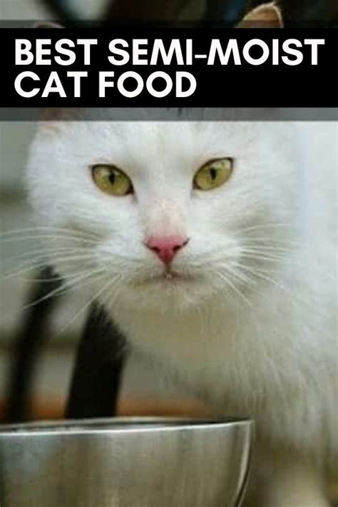 Skip to main search results. Best Semi-Moist Cat Food in 2020 | Cats, Cat diet, Cat food