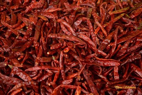To roast and peel pepper pods, first cut a small slit in the pod close to the stem end so that the steam can escape. Chiles de árbol (con imágenes) | Chile de arbol, Chile